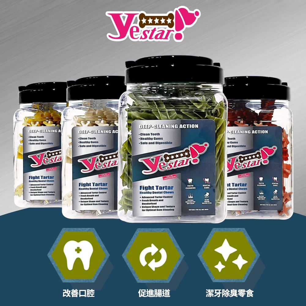 Yestar 星型桶裝潔牙骨評價:適合幼犬到老犬嗎?口味、尺寸與餵食重點一次看