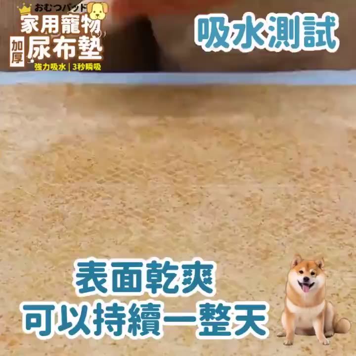 一次性除臭加厚寵物尿布墊