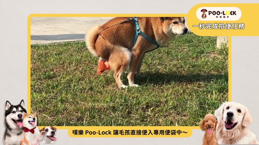 【超值組｜經典款】狗便捕手 Poo-Lock 噗樂｜1秒完成撿便任務｜狗便袋｜接便器 | 蝦皮購物
