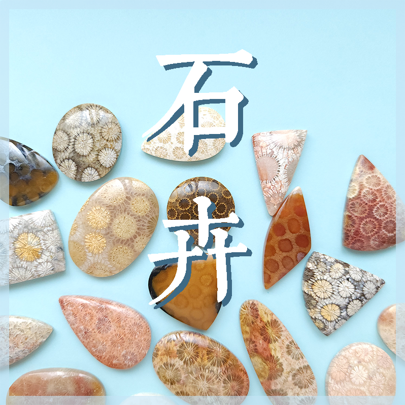 珊瑚玉裸石-不分區02】天然珊瑚玉Fossilized Coral 全手工拋光裸