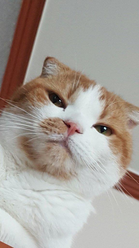 HIGH CUT VOL.145 韓國雜誌太妍Taeyeon 少女時代Girls