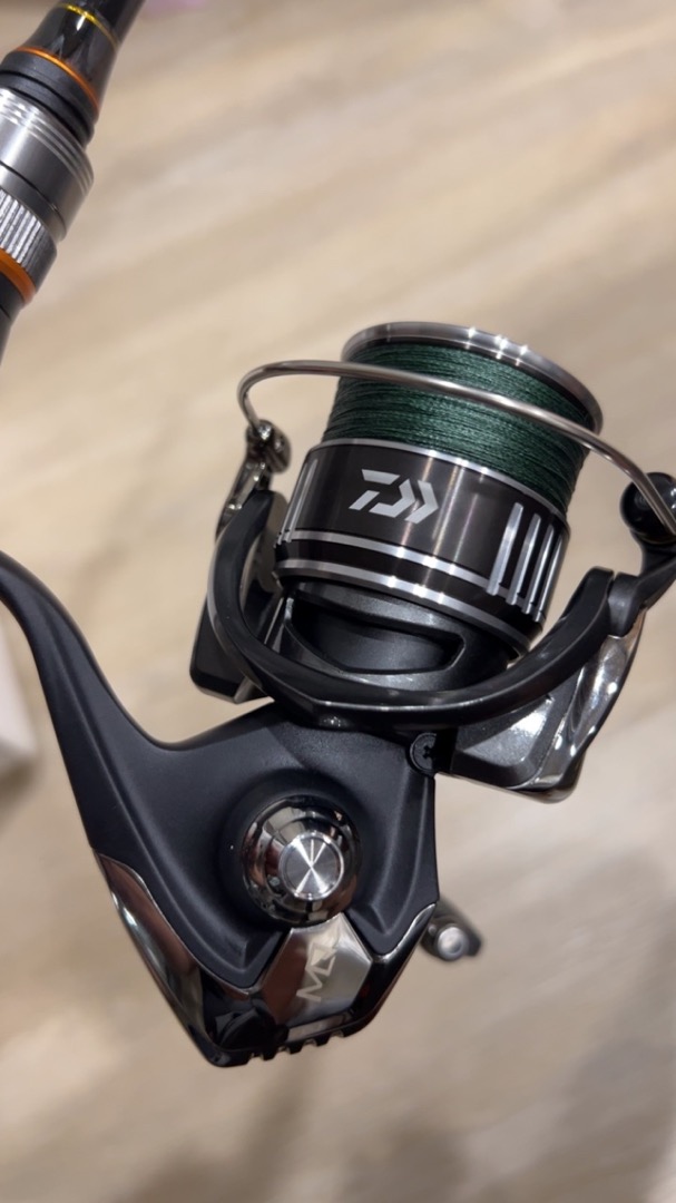 中壢鴻海釣具)《DAIWA》BG MQ紡車捲線器台版大物捲線器釣魚龍膽石斑海