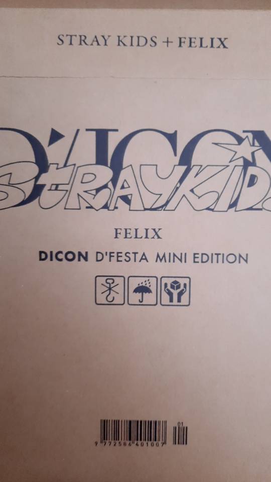 韓居🇰🇷 STRAY KIDS X DICON D'FESTA MINI EDITION 100張小卡卡冊寫真