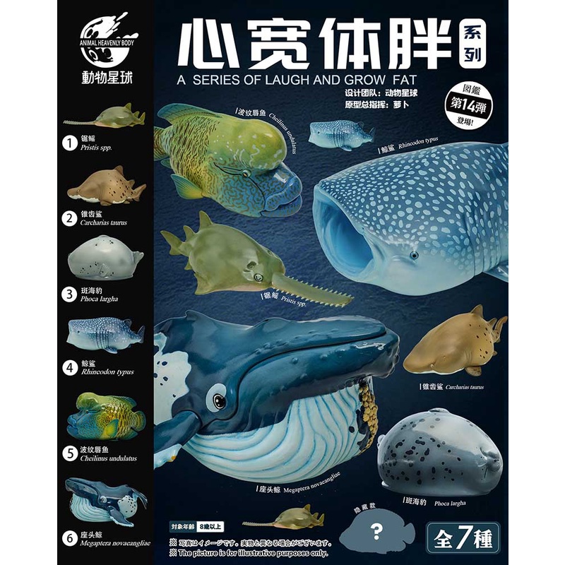 （訳ありセール 格安） 東扭西扭》『2023/4月預購』心寬體胖第14彈-海洋篇2.0 盒玩全6+1 アガベ