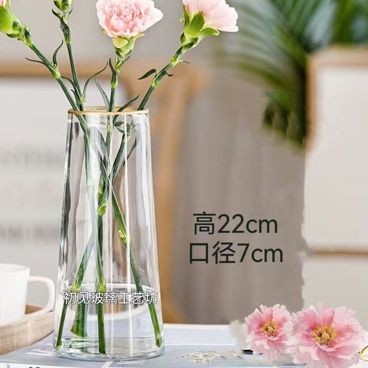 花瓶置物北欧簡約玻璃花瓶客間意匠家飾玻璃縞花器w83-