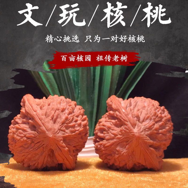 朝聖】 文玩核桃手盤文玩核桃野生核桃樹精配青皮白獅子頭蘋果園麒麟官