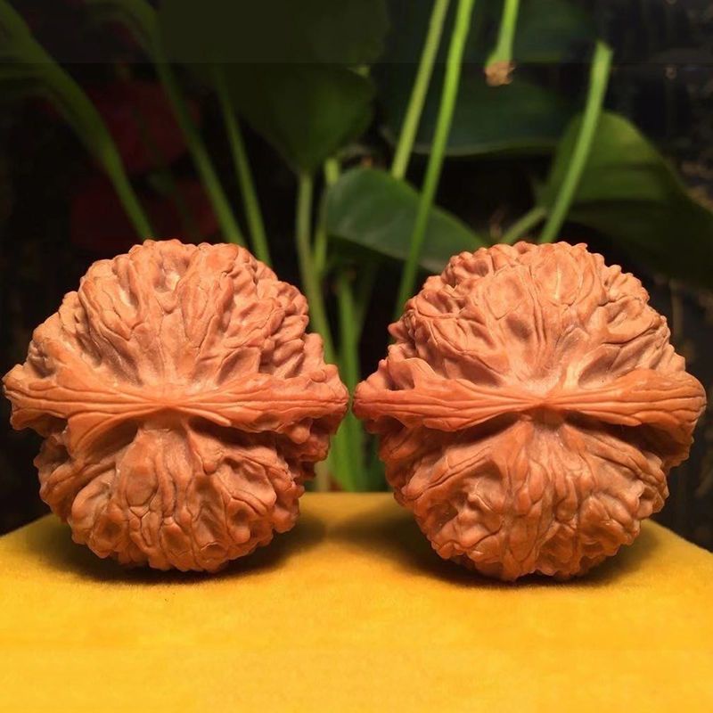 朝聖】 文玩核桃手盤文玩核桃野生核桃樹精配青皮白獅子頭蘋果園麒麟官