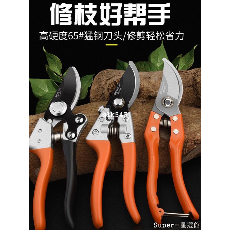 【台灣出貨】園藝剪修枝剪枝剪花剪果樹剪刀園林剪樹枝修花粗枝剪花藝剪子家用 五金用品 | 蝦皮購物