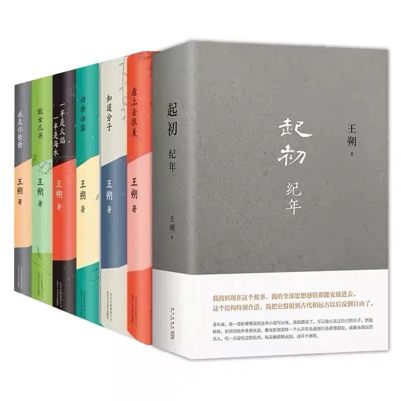 全新『🔥』王朔文集全套7冊起初紀年我是你爸爸動物兇猛看上去很美致  