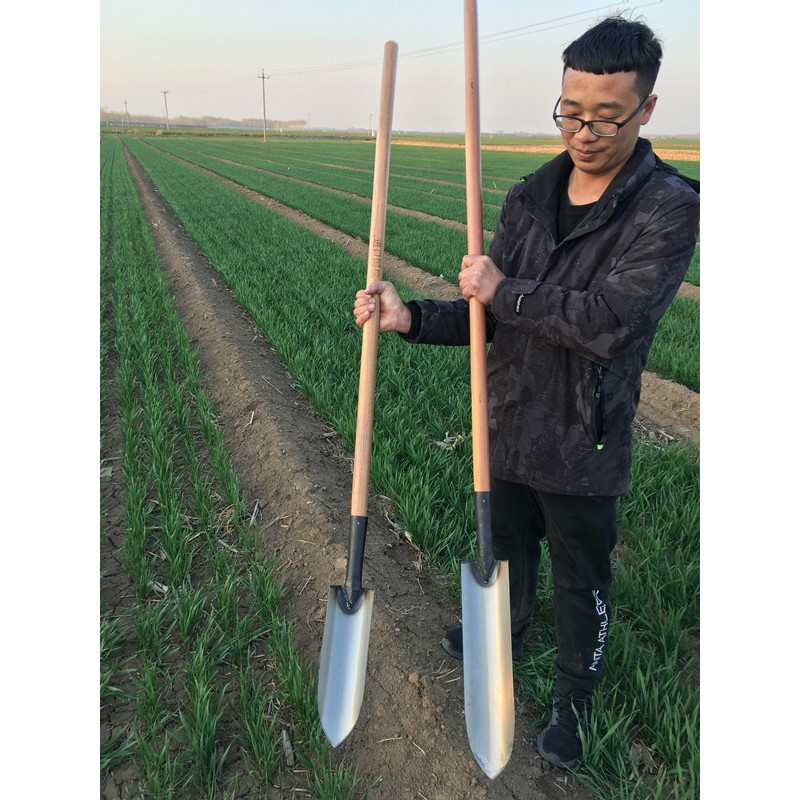 尖頭鏟全鋼戶外加長鏟挖洞起苗挖山藥鍬窄溝鐵鍬掏洞工具窄細鍬鏟 | 蝦皮購物