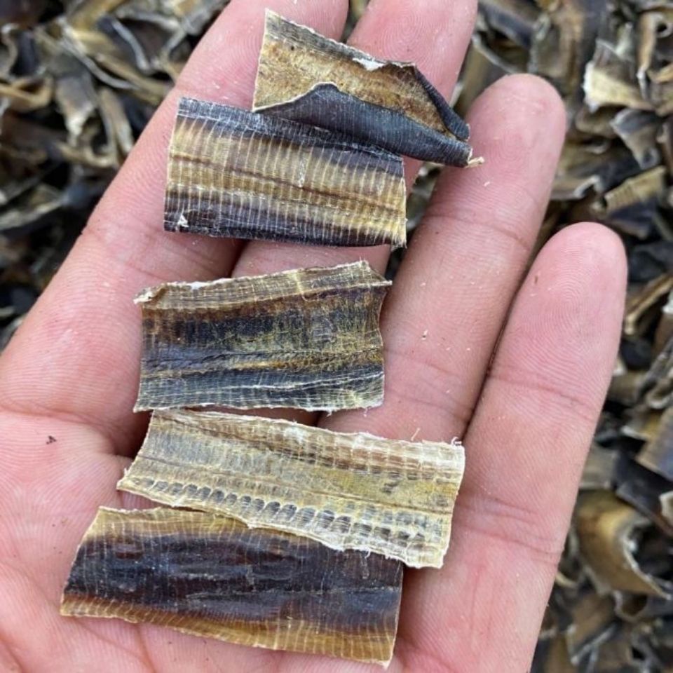 中藥材 全開廣西地龍干 無土地龍 無任何泥沙地龍粉 蚯蚓干50g | 蝦皮購物