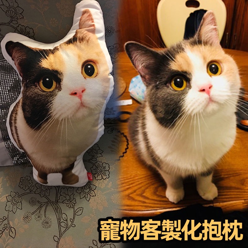 異形定制抱枕 寵物紀念 客制化 抱枕 造型抱枕 立體 寵物抱枕 擬真抱枕 仿真抱枕 貓咪 狗狗 來圖定制 異形抱枕 禮物 | 蝦皮購物