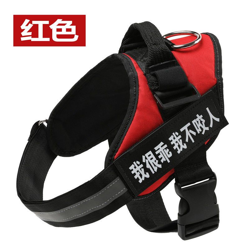 【滿799免運】狗狗牽引繩遛狗繩項圈中大型犬金毛拉佈拉多泰迪狗鏈子胸背帶結實jioyh 8SOT | 蝦皮購物