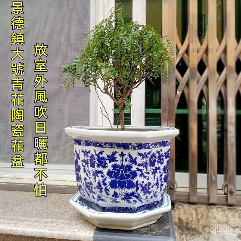 藍釉開片八方鉢 盆栽 多肉菖蒲盆栽 植木鉢 景德镇 装饰品 工艺品 置物 盆栽鉢- 優惠推薦- 2025年8月| 蝦皮購物台灣