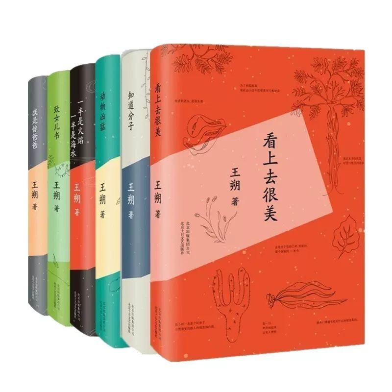 全新『🔥』王朔文集全套7冊起初紀年我是你爸爸動物兇猛看上去很美致  