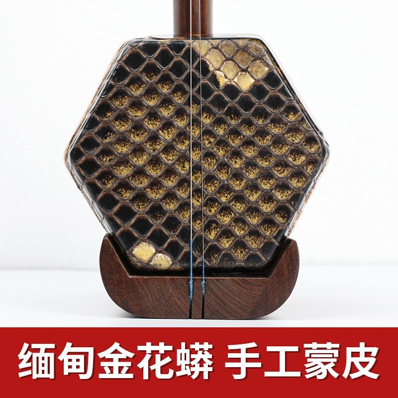 公司貨🔥正音堂三星老紅木二胡樂器廠家直銷舊料手工蒙皮專業演奏