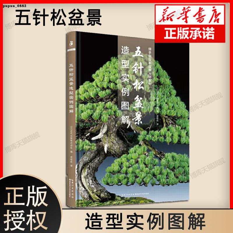 【新惠圖書】五針松盆景造型實例圖解 日本盆景大師系列 觀賞園藝圖解彩圖版盆-簡體全新正版書 | 蝦皮購物