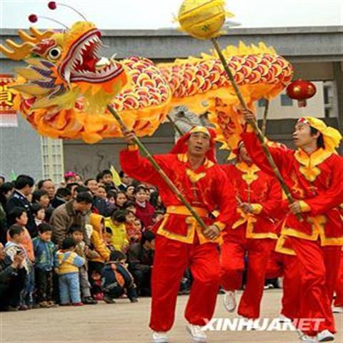 舞獅道具 醒獅服舞龍舞獅道具龍頭舞龍服裝舞龍燈9節龍國標綢布龍鋼絲龍飽滿 | 蝦皮購物