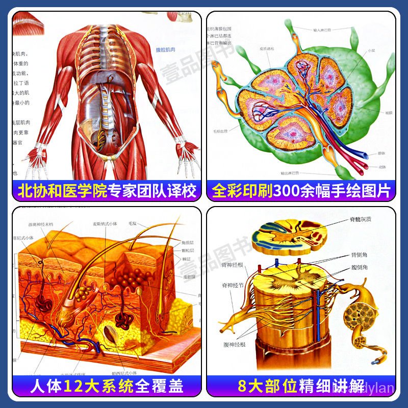 圖書 書籍 奇妙的人體 恐怖文書 人體解剖學圖譜人體解刨學結構和功能圖譜人體結構彩圖全彩解刨學 禮物 整人 送朋友 | 蝦皮購物