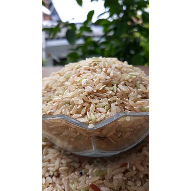 BERAS COKLAT/BROWN RICE 600g | 蝦皮購物