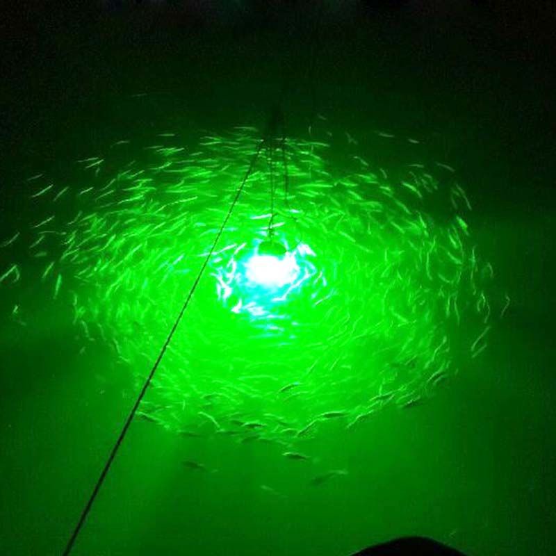 100W12V夜釣led水下誘魚燈超亮魷魚燈筏釣燈集魚燈引魚聚魚燈防 | 蝦皮購物