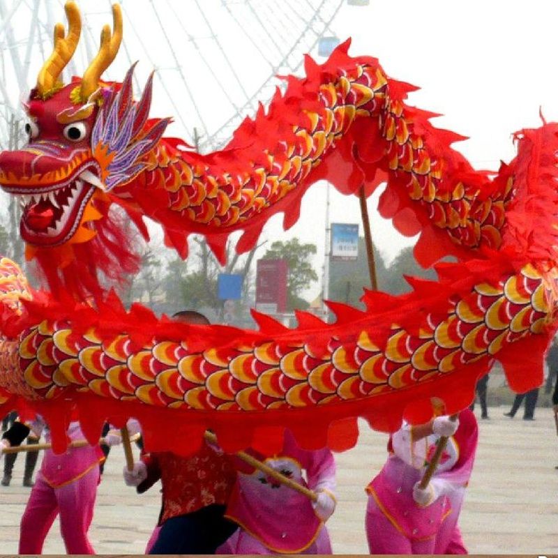 舞龍國標龍舞龍舞獅道具服裝3號9節龍綢布龍鋼絲龍龍燈龍獅燙金 | 蝦皮購物