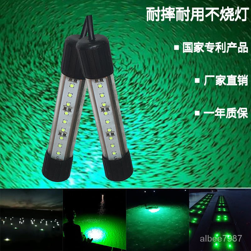 12v24v220v水下誘魚燈集魚燈led水下燈水底燈魷魚帶魚燕魚鮁魚燈 | 蝦皮購物