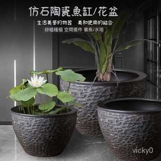特大荷花缸 • 金魚缸 特大荷花缸 • 金魚缸 大型荷花缸的價格推薦- 2025年8月| 比價比