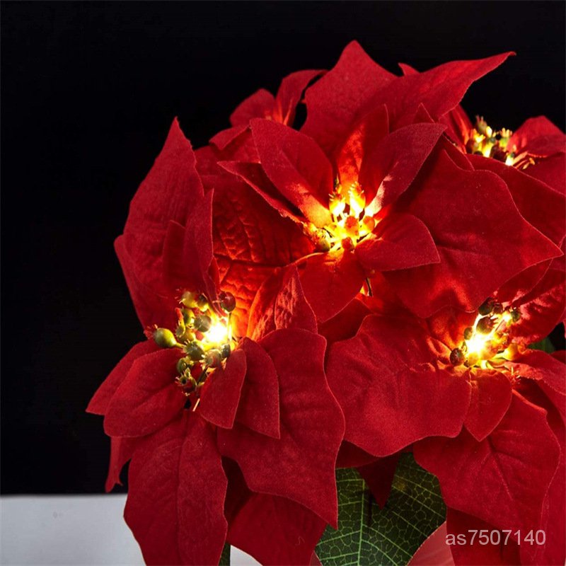 【精品優選】聖誕裝飾品 聖誕花 一品紅燈串 led彩燈 聖誕花環 DIY裝飾聖誕節 聖誕花圈 | 蝦皮購物