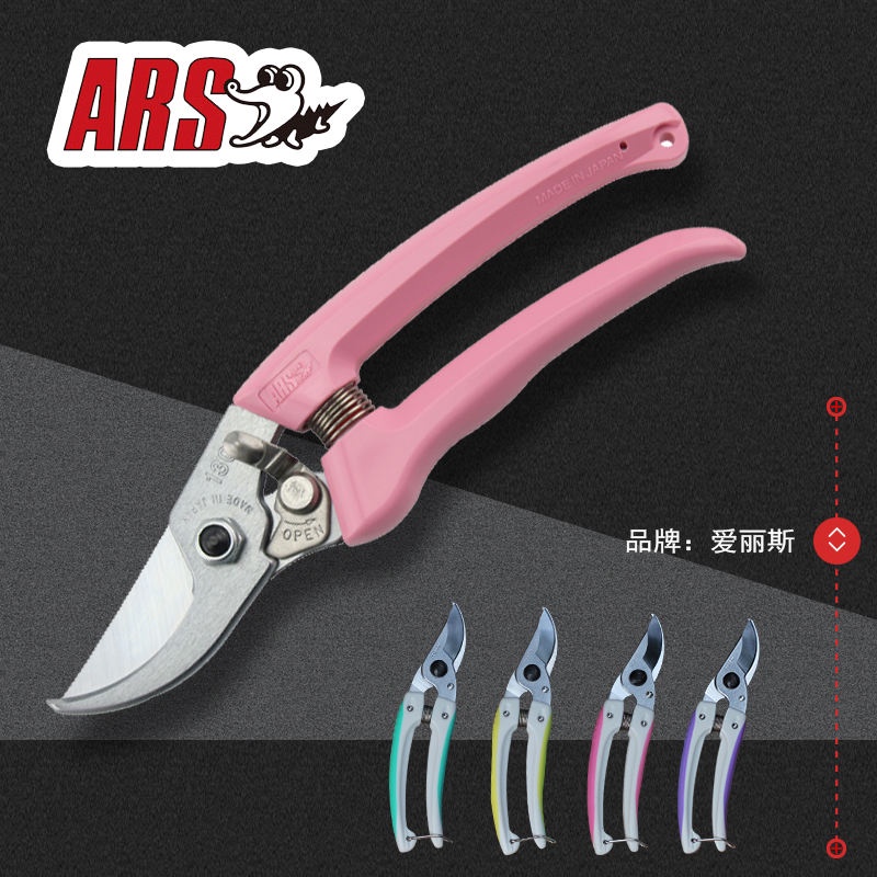 日本進口愛麗斯修枝剪 ARS 130DX果樹園藝盆景剪 花藝剪刀 花枝剪 | 蝦皮購物
