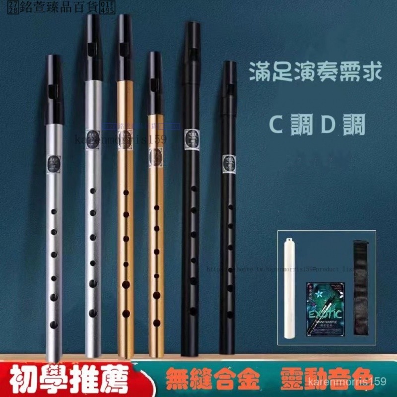 【臺灣出貨】笛子 愛爾蘭哨笛 吹簫笛 直豎笛子 6孔 初學者專業演奏 便攜樂器 3KP8 | 蝦皮購物