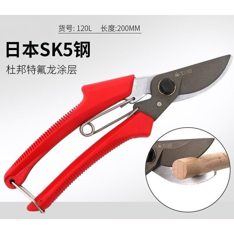 樹枝剪刀/原裝正品120修樹枝剪刀果樹枝剪園藝修枝整枝剪園林剪刀花園剪刀~園藝剪 樹剪 花藝剪刀 剪樹刀 修枝剪 園林剪 | 蝦皮購物