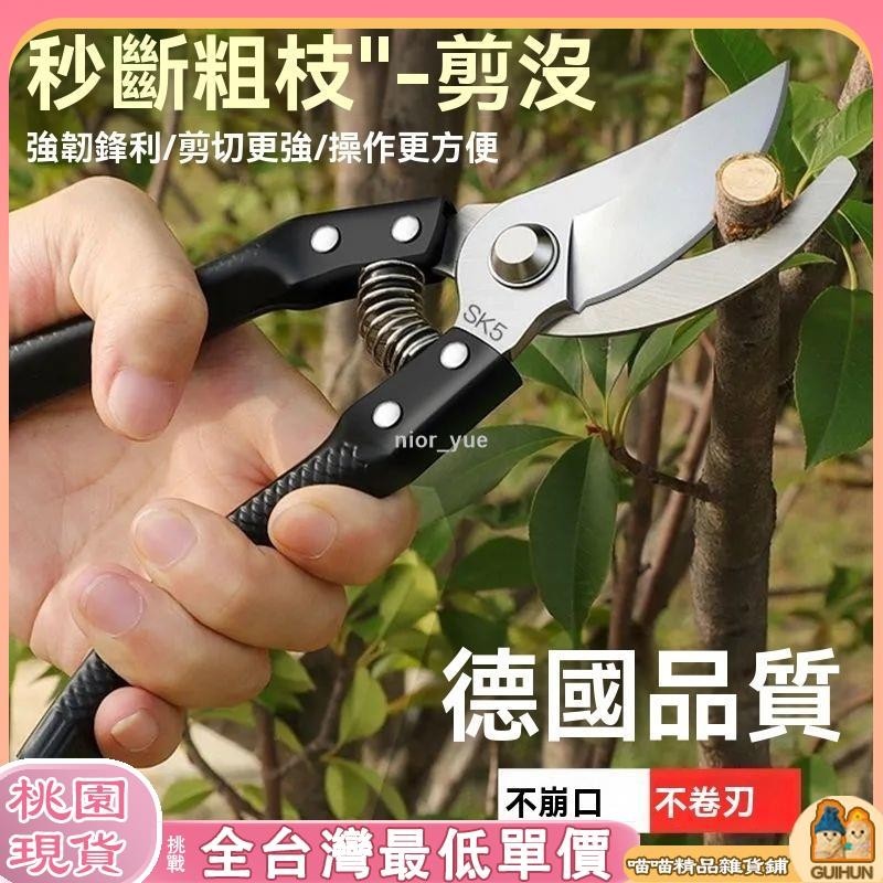 【品質保證】剪刀 果樹剪 園藝剪刀 修枝專用剪 園林工具 花剪 修枝剪 園藝剪刀 可開發票 送鋸子 | 蝦皮購物