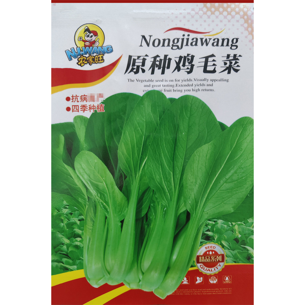 1000粒鷄毛菜種子上海青種子小青菜小菘菜種子甜脆一年四季耐熱 1000粒鷄毛菜種子上海青種子小青菜小菘菜種子甜脆一年四季耐熱