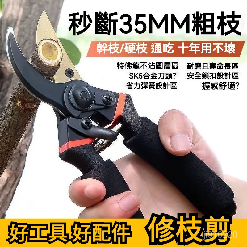 鋼剪樹剪子果樹剪修枝剪刀傢用 修枝剪 剪枝機 園林剪 果樹剪 高枝剪 園藝剪刀 粗枝剪 花枝剪 粗枝剪 樹枝剪 | 蝦皮購物