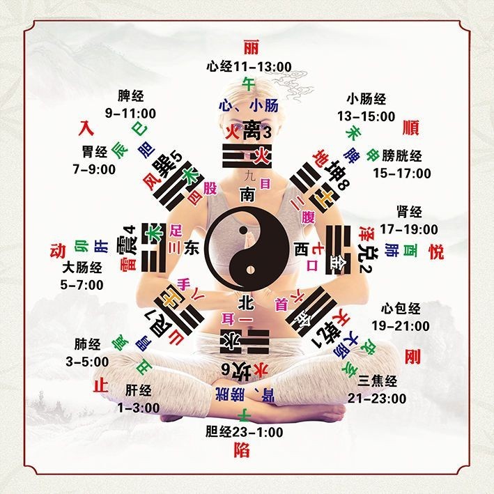 热促#美容院養生掛圖二十四氣節掛圖十二時辰養生對照表裝飾畫墻貼自粘#099 | 蝦皮購物
