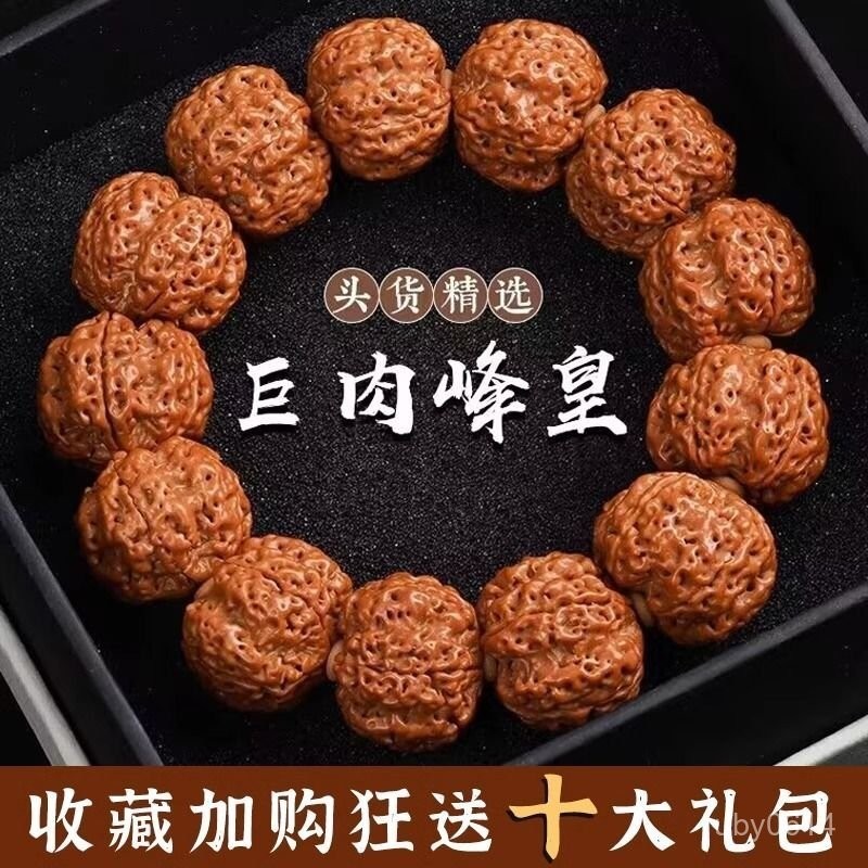 文玩 ルドラクシャ 五つ星蜂王金剛菩提腕輪 23mm 大玉 五星蜂王大金刚 文玩 ルドラクシャ 五つ星蜂王金剛菩提腕輪 23mm 大玉 五星蜂王