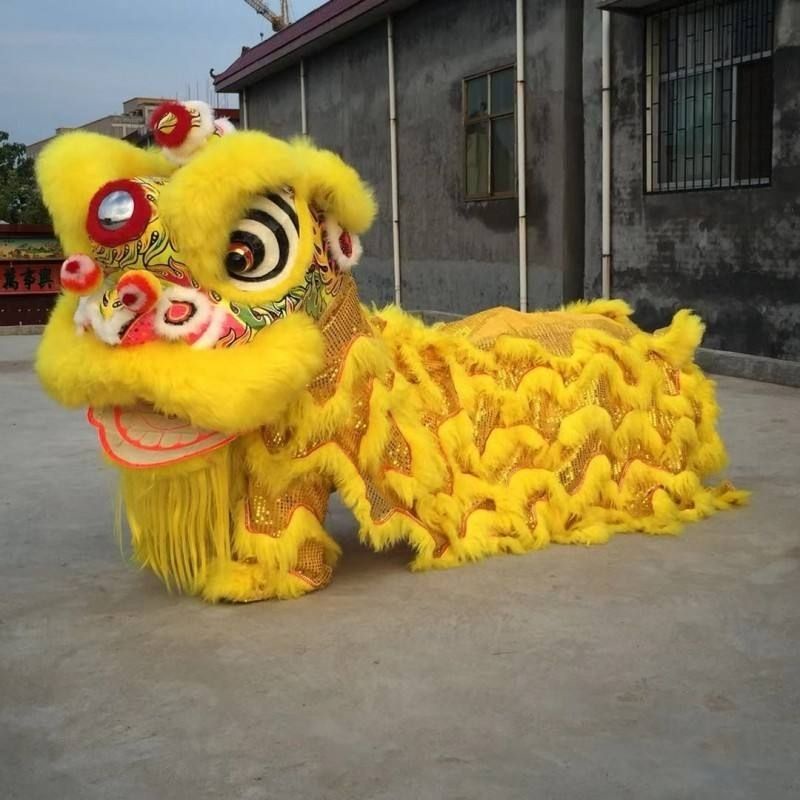 南獅 舞獅道具 醒獅 舞龍舞獅 整套 澳洲羊毛 佛山獅頭 學生獅子 | 蝦皮購物