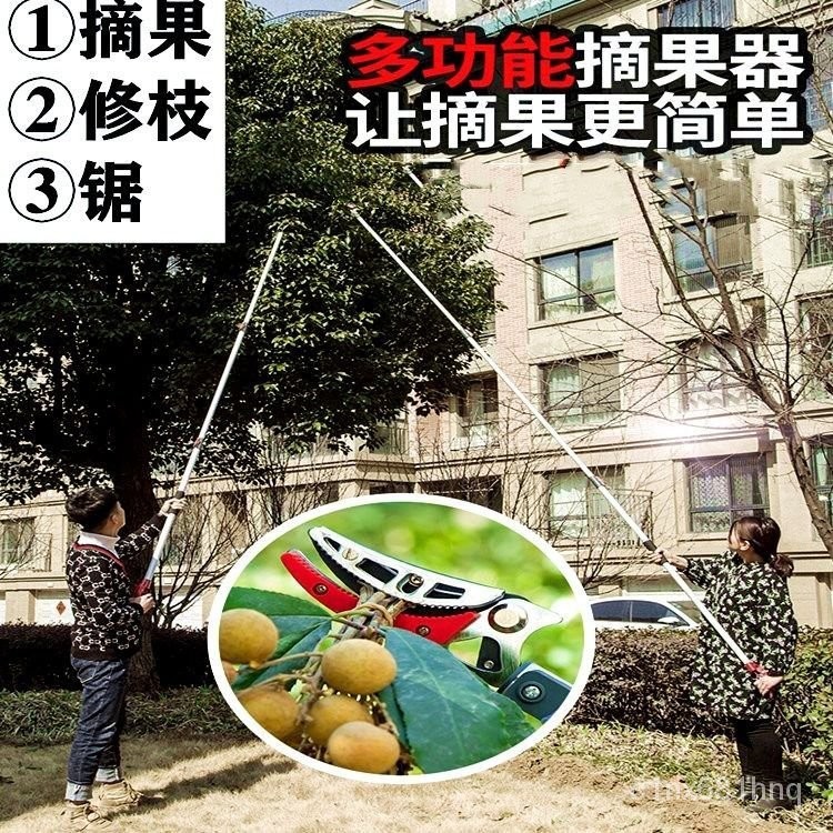森淼 ️精選店~多功能伸縮摘果神器果樹高枝剪高空剪枝剪刀埰摘柿子荔枝龍眼枇杷 | 蝦皮購物