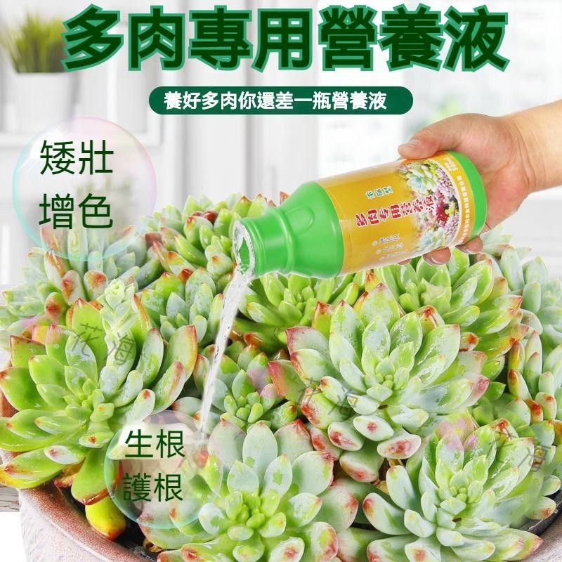 多肉專用營養液- 優惠推薦- 2024年4月| 蝦皮購物台灣