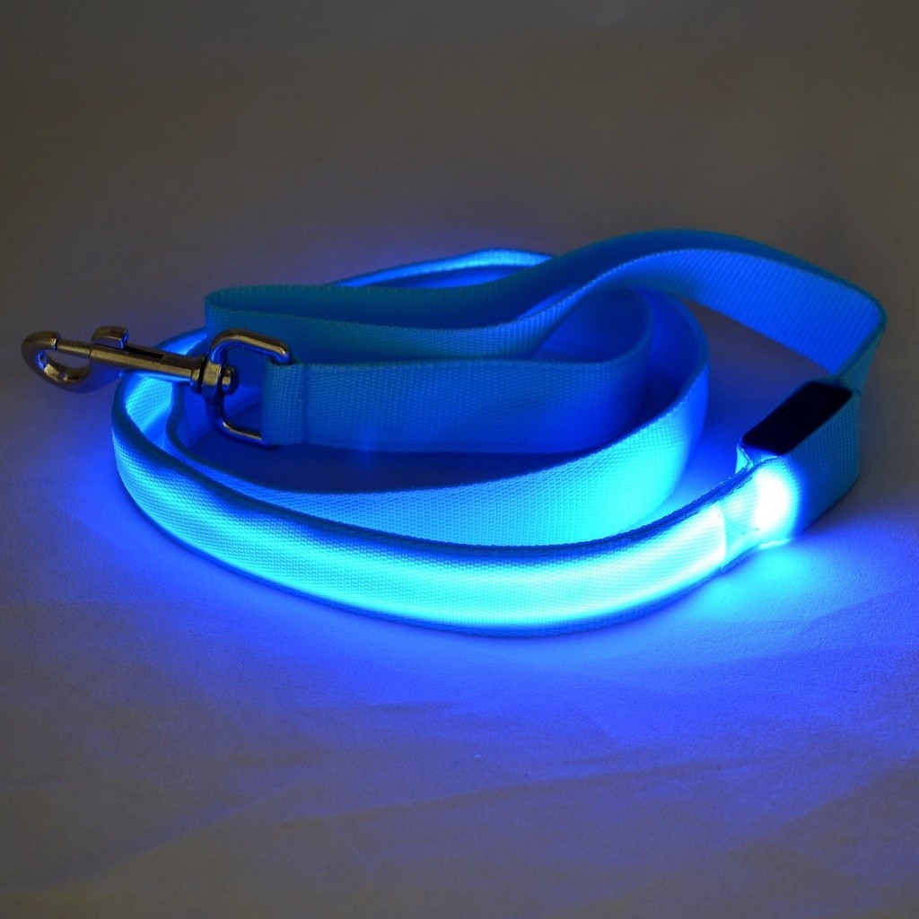 Xstore2 Nylon LED Light Up Dog Leash Night Safety LED Flashi | 蝦皮購物