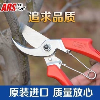 樹枝剪刀/原裝果樹剪正品ARS 120DX手工修枝剪園藝剪刀粗枝剪省力剪~園藝剪 樹剪 花藝剪刀 剪樹刀 修枝剪 園林剪 | 蝦皮購物