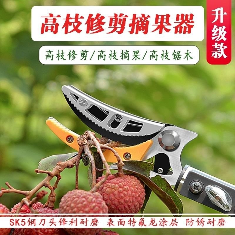 園藝剪刀 摘果器 剪枝剪 伸縮桿高空修枝剪 樹枝剪 高枝剪 摘枇杷柿子龍眼荔枝摘水果神器 | 蝦皮購物