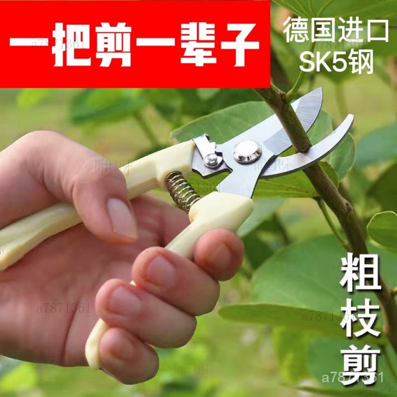 🎀【限時下殺】德國進口鋼粗枝剪 省力修枝剪刀 園藝修花木果樹嫁接園林剪工具 園藝剪刀 園藝工具 剪樹枝 高枝剪 樹枝剪R | 蝦皮購物