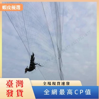 🔥台灣發貨🔥4m/6m/8m 黑色防鳥網網用於水果作物植物樹葡萄園新的