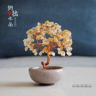黃水晶發財樹｜優惠推薦- 蝦皮購物- 2026年2月