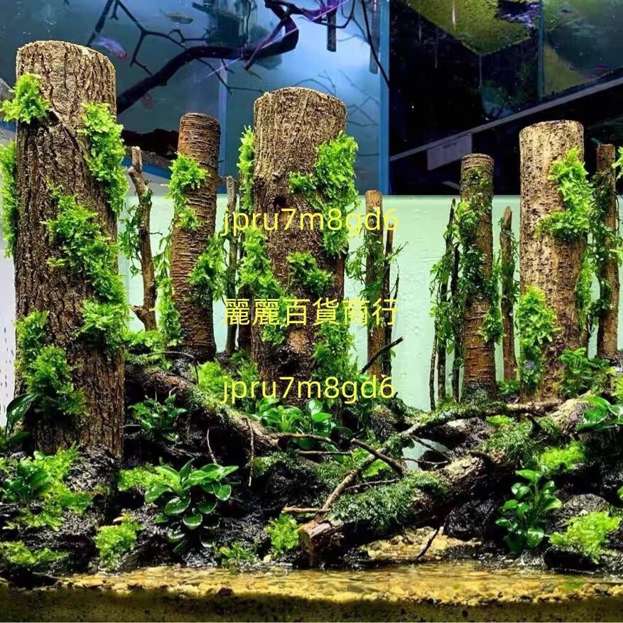 沉木香檳樹森林景叢林景雨林景魚缸造景裝飾天然造景木紫柚木 | 蝦皮購物