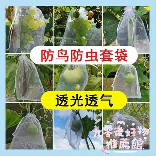 🔥台灣熱銷🔥套果袋 尼龍網袋 葡萄套袋子 防鳥網 防蟲水果防蟲網袋 草莓透氣專用袋10