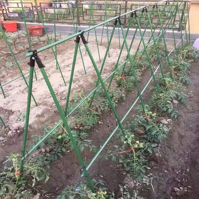 4月樂購前奏~豆角黃瓜架爬藤種菜專用架子特價清倉包塑鋼管園藝支架植物爬藤架 | 蝦皮購物