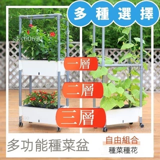 台湾保固-栽培箱-雙層種植箱-陽臺懶人蔬菜陽臺草莓-多層種菜盆-傢用-長方形-雙層種植箱-組閤式有機種植箱-XYG